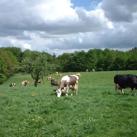 Hirtenkate 2 Apartment *