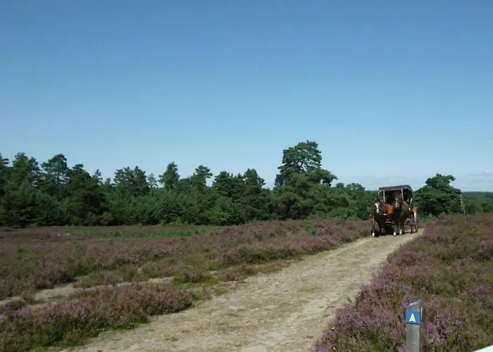 Hirtenkate 2 公寓 Godenstorf